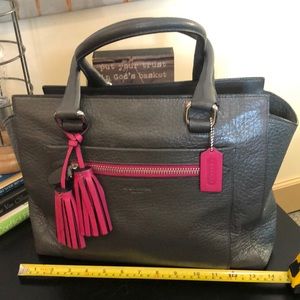 Large Purse or Tote Bag